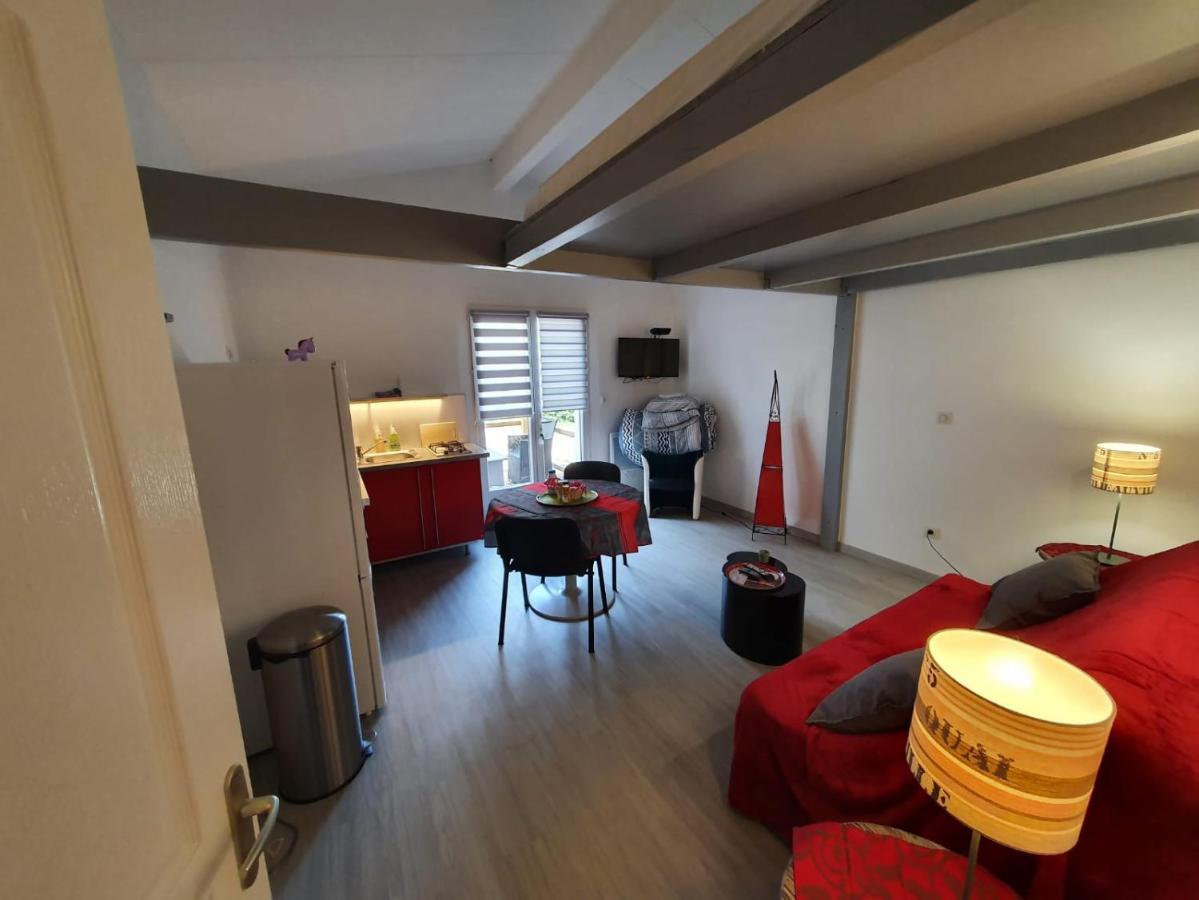 Dormir A Montauban Logements Carreyrat Calme Et Verdoyant Exterior photo