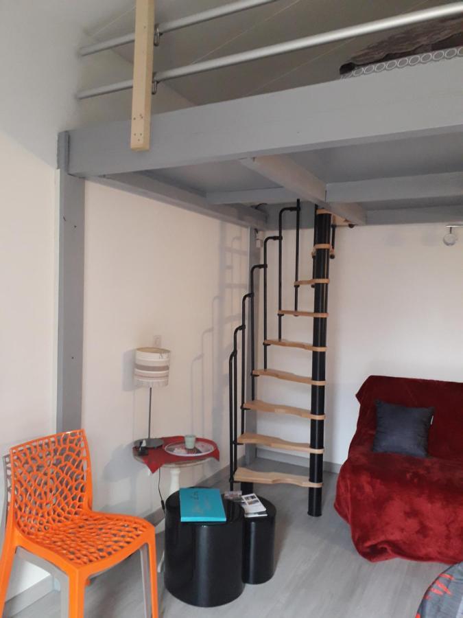Dormir A Montauban Logements Carreyrat Calme Et Verdoyant Exterior photo