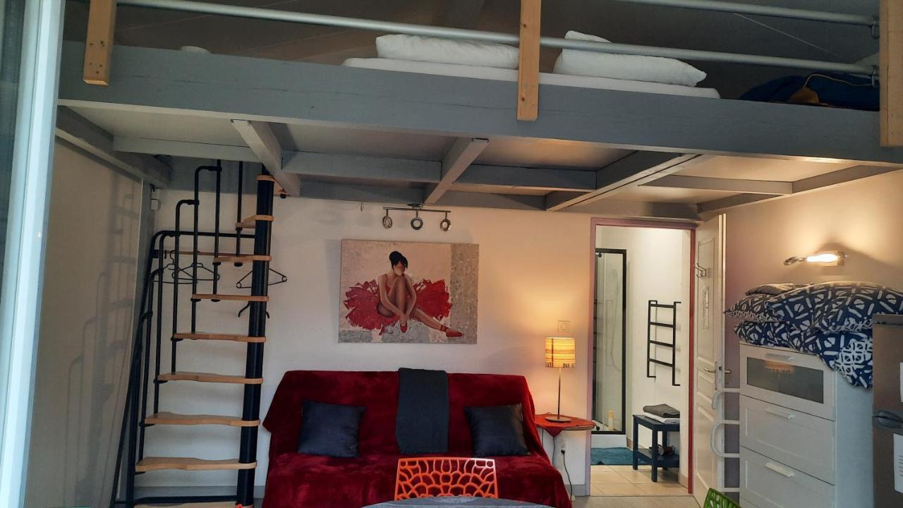 Dormir A Montauban Logements Carreyrat Calme Et Verdoyant Exterior photo