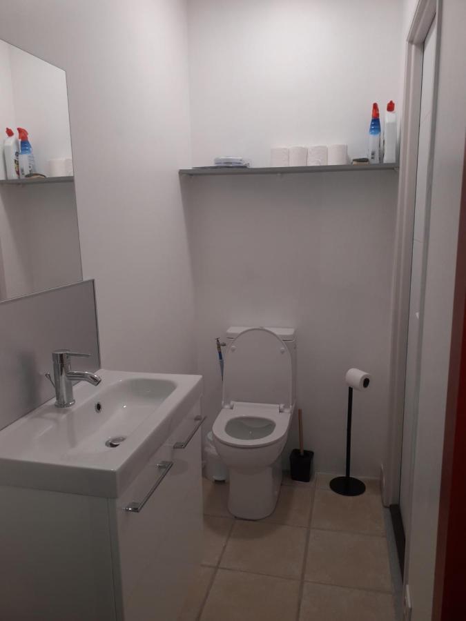Dormir A Montauban Logements Carreyrat Calme Et Verdoyant Exterior photo