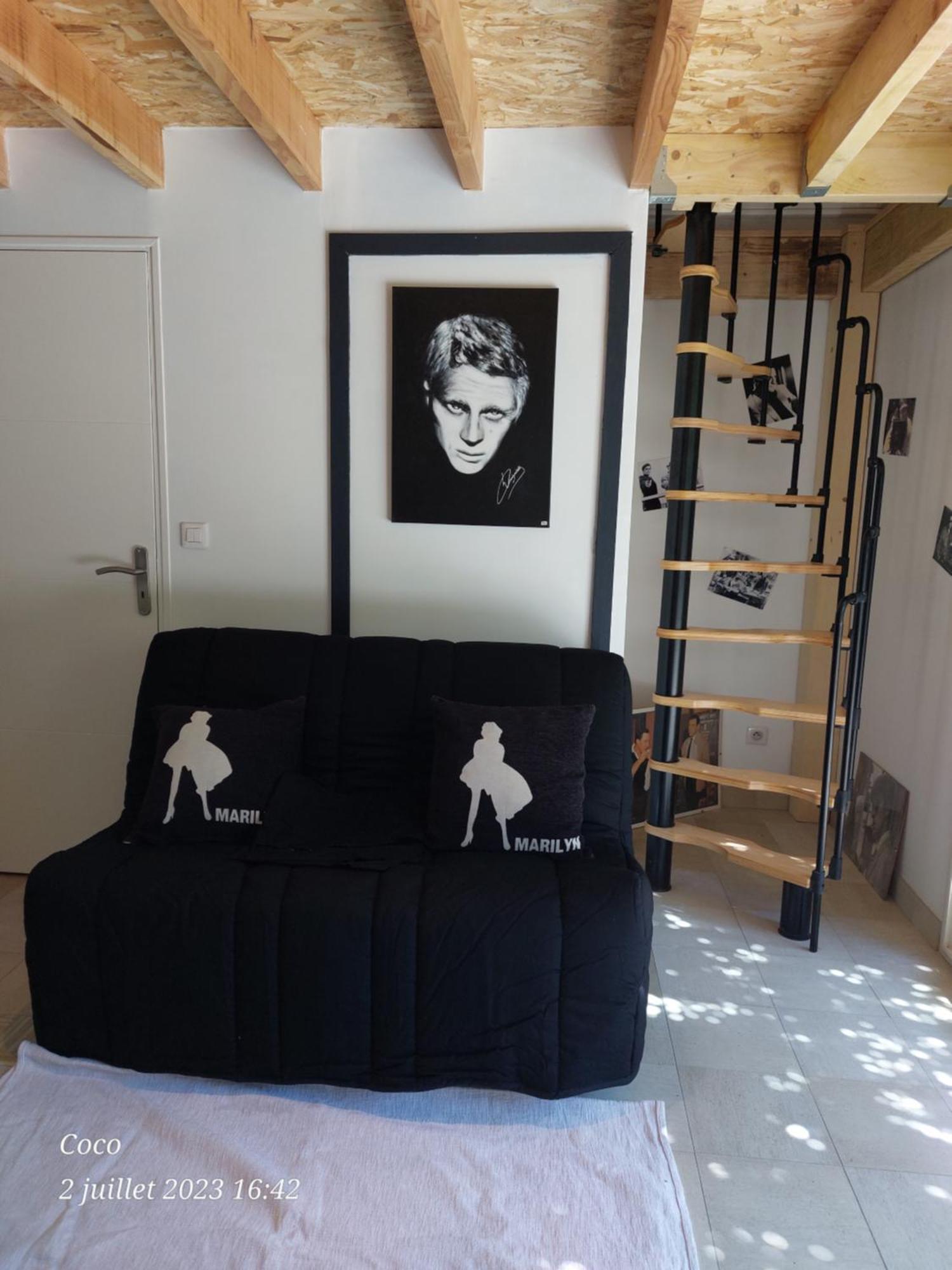 Dormir A Montauban Logements Carreyrat Calme Et Verdoyant Exterior photo