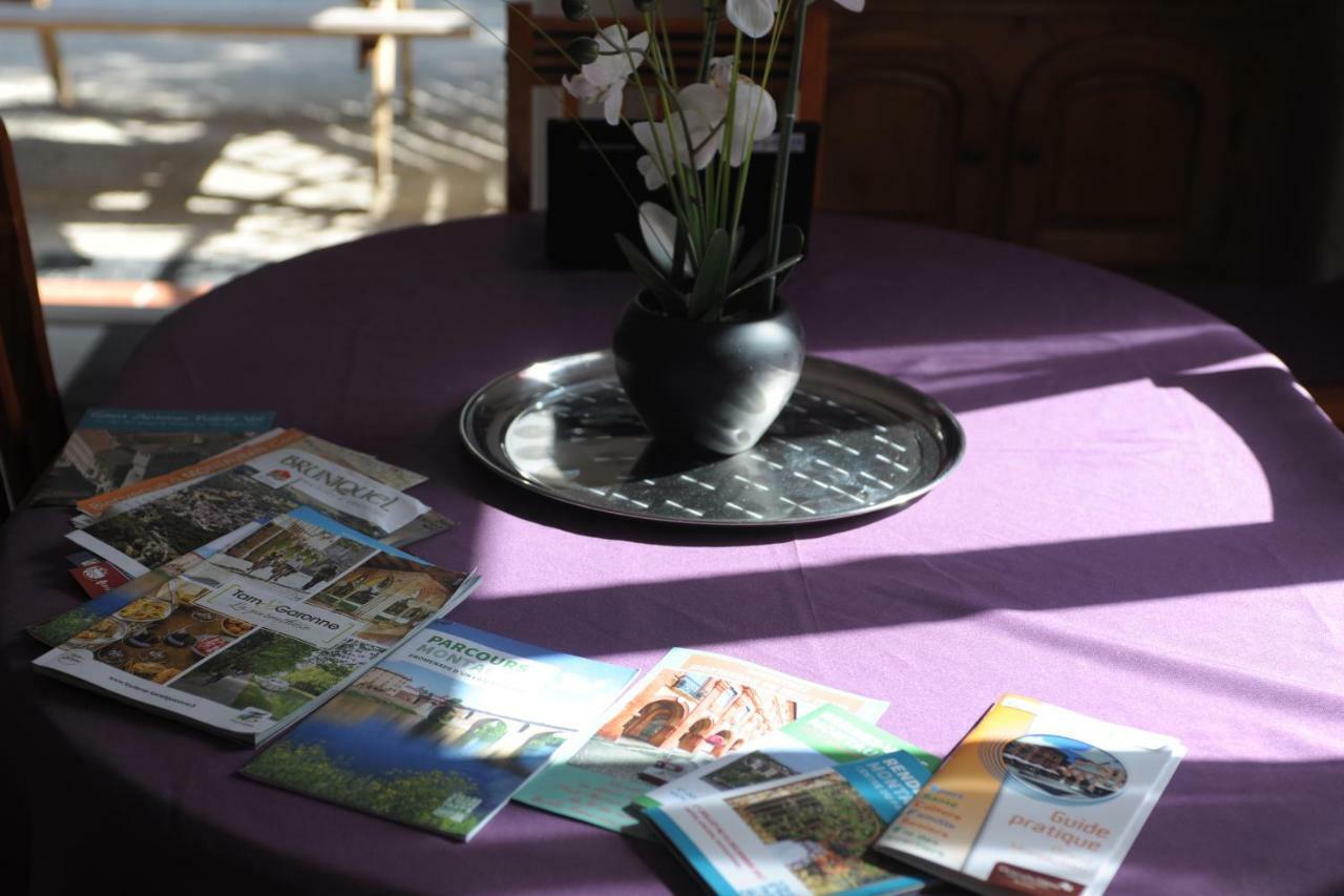 Dormir A Montauban Logements Carreyrat Calme Et Verdoyant Exterior photo